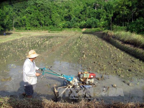 Bắc Kạn có xã đầu tiên đạt chuẩn nông thôn mới ảnh 1